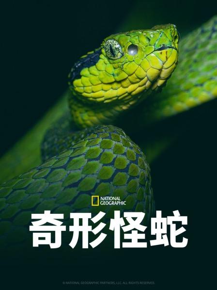 蜜桃TV《奇形怪蛇》免费在线观看